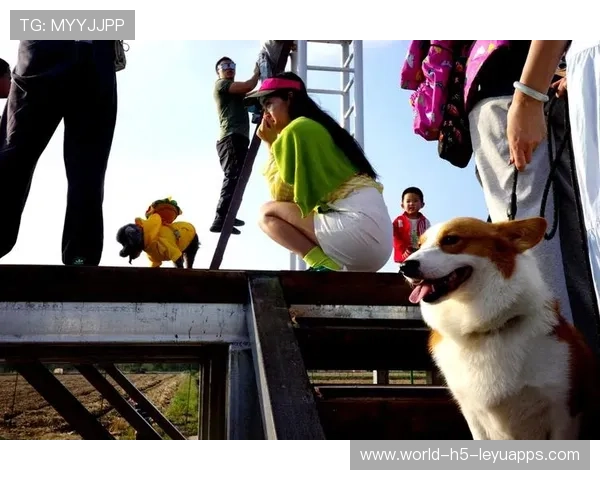 赛场外摄影师作品集举办展览呈现不为人知的赛场瞬间，赛事摄影师用什么相机